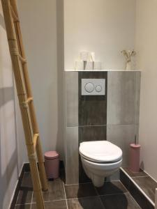 a bathroom with a white toilet in a room at Magnifique et lumineux appartement au cœur du Sancy in Saint-Nectaire +4 photos