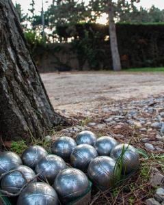 a pile of balls on the ground next to a tree at Le Safari Hotel Restaurant in Carpentras