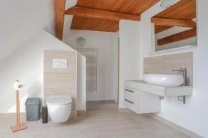 a bathroom with a white toilet and a sink at Apartment Krnicar in Zgornje Gorje