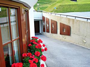 Сад в Hotel Garni Frommes