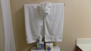 łazienka z białymi ręcznikami wiszącymi na ścianie w obiekcie Athens Hotel & Suites w mieście Houston