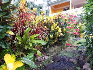 Giardino di Mango Garden Cottages