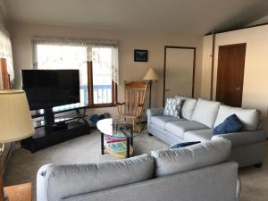 ein Wohnzimmer mit einem Sofa und einem Flachbild-TV in der Unterkunft Nordic House in Petersburg