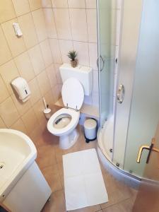 a bathroom with a toilet and a shower at Guesthouse Kovačević in Korenica