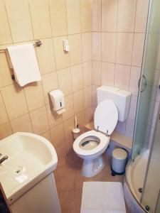 a small bathroom with a toilet and a sink at Guesthouse Kovačević in Korenica