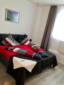 a bed with red and black pillows and a window at Haus Estrella in Radolfzell am Bodensee