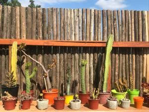 Fotografie z fotogalerie ubytování Tinyhouse in the WineValley v destinaci Casablanca