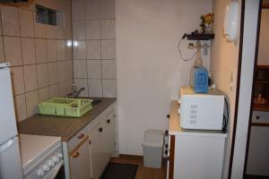 a small kitchen with a sink and a refrigerator at Gite Lammer in Artolsheim +13 photos