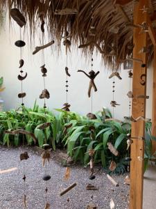 bunches of bananas hanging from the ceiling at Ten North Tamarindo Beach Hotel in Tamarindo