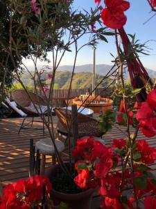 eine Terrasse mit roten Blumen, einem Tisch und Stühlen in der Unterkunft Tinyhouse in the WineValley in Casablanca