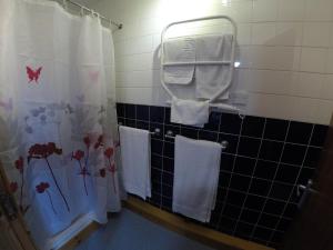 Koupelna v ubytování Orkneylodge