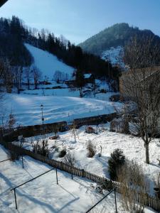 a snow covered field with trees and a mountain at Ferienwohnung ELSA in Immenstadt im Allgäu