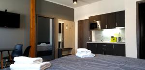 Kuchyň nebo kuchyňský kout v ubytování Třeboňské Apartmány