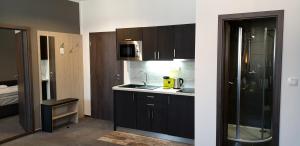 Kuchyň nebo kuchyňský kout v ubytování Třeboňské Apartmány