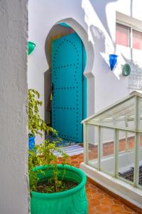 a blue door in front of a house with a plant at Darna Hostel in Tetouan