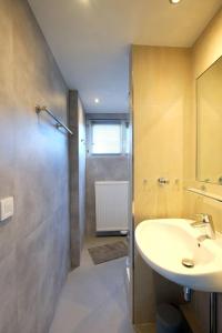uma casa de banho com um lavatório e um chuveiro em Bie de Borreger em Maastricht