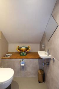 a bathroom with a white toilet and a sink at Bie de Borreger in Maastricht