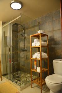 y baño con ducha y aseo. en T3 Duplex Meublé Lagon Réunion, en La Saline-Les-Bains