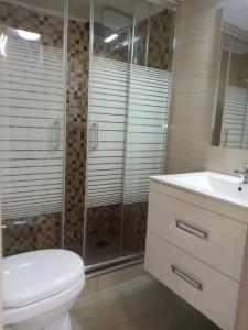 Un baño con inodoro, ducha y lavabo. en Studio NATASHA in the area of Kallithea, en Atenas