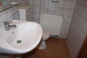 uma casa de banho com um lavatório branco e um WC. em Prenoćište "Magnus" em Slavonski Brod