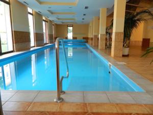 Bazén v ubytování Mandarin Wellness Apartman nebo v jeho okolí