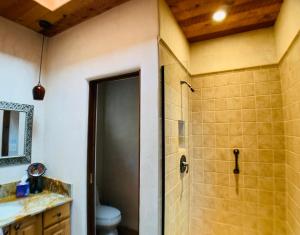 a bathroom with a shower with a glass door at The Casita del Lago in Abiquiu