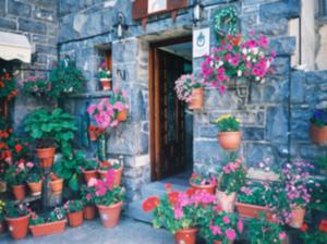 Une bande de plantes en pot devant un bâtiment dans l'établissement Casa Herrero, à Oto