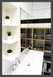 bagno con lavandino e specchio di Sankt Veit Apartment a Sankt Veit an der Glan