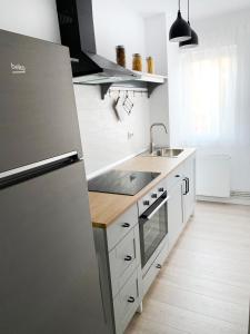 La cuisine est équipée d'un réfrigérateur en acier inoxydable et d'un évier. dans l'établissement MHC Quiet Deluxe Suite near Downtown - Free Parking, à Braşov