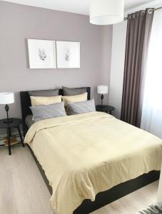 Imagen de la galería de MHC Quiet Deluxe Suite near Downtown - Free Parking, en Brasov