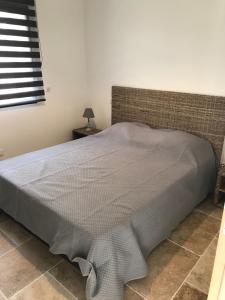 ein Schlafzimmer mit einem Bett mit einer grauen Bettdecke in der Unterkunft Charmante maison de village *** in Santa-Maria-Figaniella