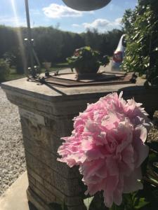 Vonkajšia záhrada v ubytovaní Tenuta La Rosa B&B