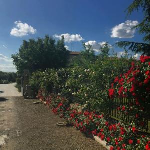 Vonkajšia záhrada v ubytovaní Tenuta La Rosa B&B