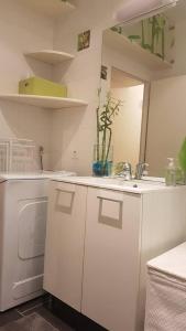 een witte keuken met een wastafel en een wasmachine bij Location F3 Fontenay-Aux-Roses in Fontenay-aux-Roses