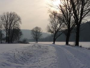 Saaletal Pension & Ferienwohnungen בחורף