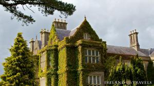 Imagen de la galería de Copper Kettle B&B, en Killarney