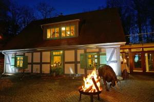 a horse standing in front of a house with a fire at Apartment 4 - Gourmetzimmer in Bestensee