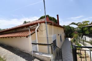 Fotografie z fotogalerie ubytování Summer House Toula v destinaci Nea Kallikratia
