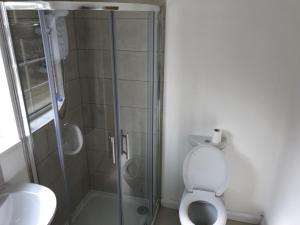 uma casa de banho com uma cabina de duche em vidro e um WC. em Glens of Antrim Beach House - On the Coast em Glenariff