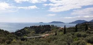 Naturlandskabet i nærheden af lejligheden