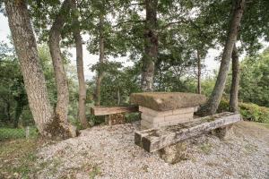 Zahrada ubytování Casa Rancacci