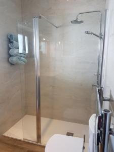 y baño con ducha y aseo. en Villa Sellares, en Mojácar