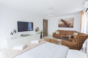Μια τηλεόραση ή/και κέντρο ψυχαγωγίας στο Apartment Alonisos Lux