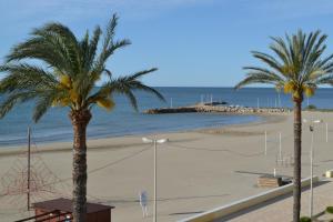two palm trees on a beach next to the ocean at Torrenostra PLATJA in Torrenostra