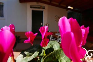 Fotografie z fotogalerie ubytování B&B Ai Tre Archi v destinaci Spotorno