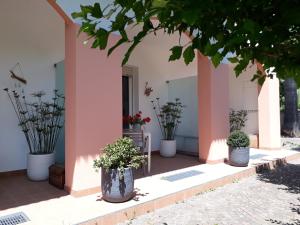 Zahrada ubytování B&B Ai Tre Archi