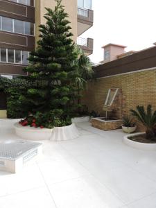 Fotografia z galérie ubytovania Palm Beach v destinácii Fuengirola