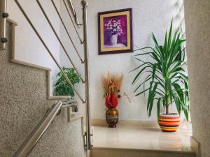 Fotografie z fotogalerie ubytování Rooms Deny v destinaci Mostar