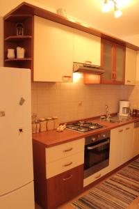a kitchen with a stove and a refrigerator at Apartment Milan Istra in Režanci