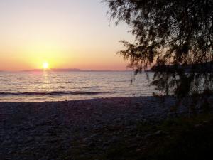 a sunset on the beach with a tree at Elpidas Holiday House in Kardamyli